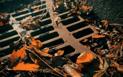 Sewer and Drain Maintenance in Winnipeg: Why Prevention is Key