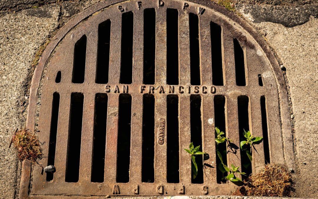 Sewer Backup in Winnipeg? Here’s What You Should Do Immediately